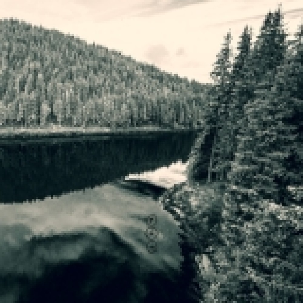 Negura Bunget - Tău 